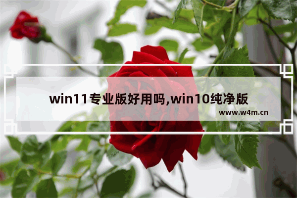 win11专业版好用吗,win10纯净版和专业版哪个好