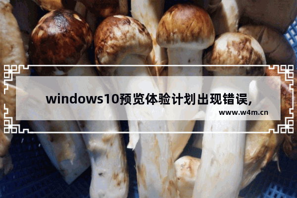 windows10预览体验计划出现错误,Windows预览体验计划报错