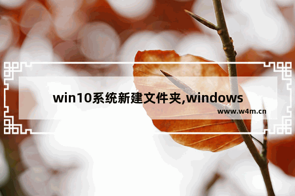 win10系统新建文件夹,windows10新建文件夹