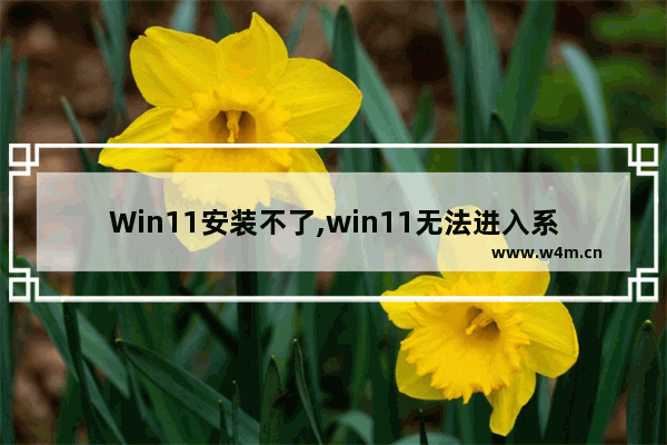 Win11安装不了,win11无法进入系统