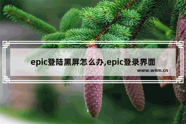 epic登陆黑屏怎么办,epic登录界面黑屏怎么解决