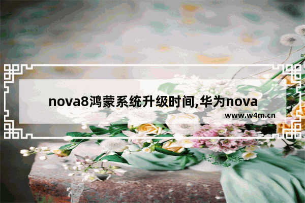 nova8鸿蒙系统升级时间,华为nova7可以升级鸿蒙系统吗