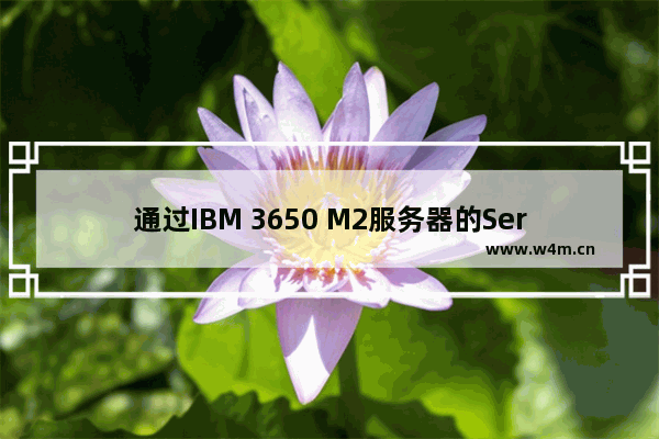 通过IBM 3650 M2服务器的ServerGuide工具配置RAID图文教程