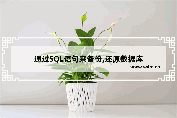 通过SQL语句来备份,还原数据库