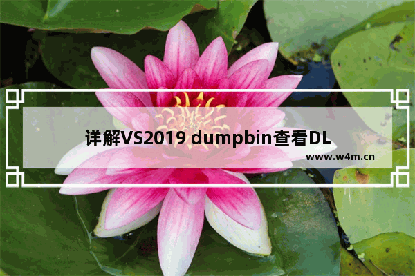 详解VS2019 dumpbin查看DLL的导出函数