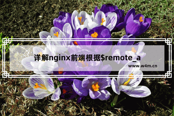 详解nginx前端根据$remote_addr分发方法