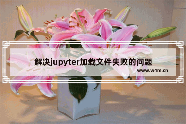 解决jupyter加载文件失败的问题