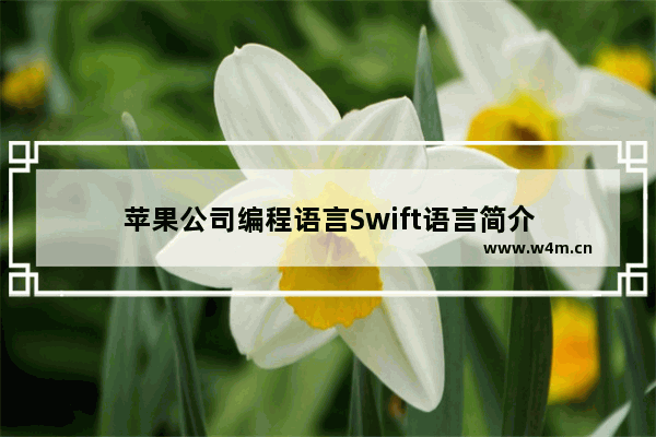 苹果公司编程语言Swift语言简介