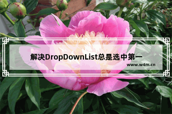 解决DropDownList总是选中第一项的方法