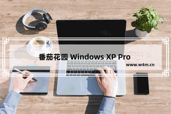 番茄花园 Windows XP Pro SP2 免激活 V3.5迅雷高速下载