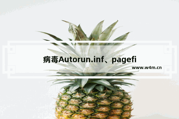 病毒Autorun.inf、pagefile.pif等的解决办法