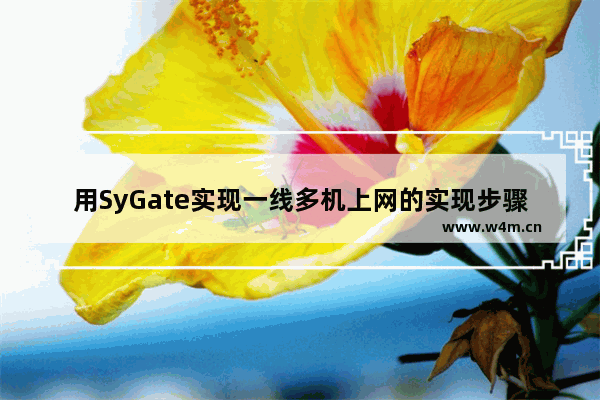 用SyGate实现一线多机上网的实现步骤