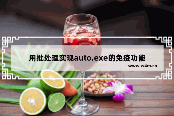 用批处理实现auto.exe的免疫功能