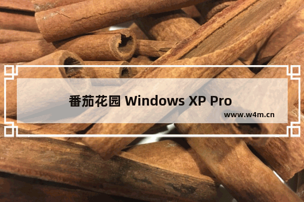 番茄花园 Windows XP Pro SP2 免激活 V3.5迅雷高速下载