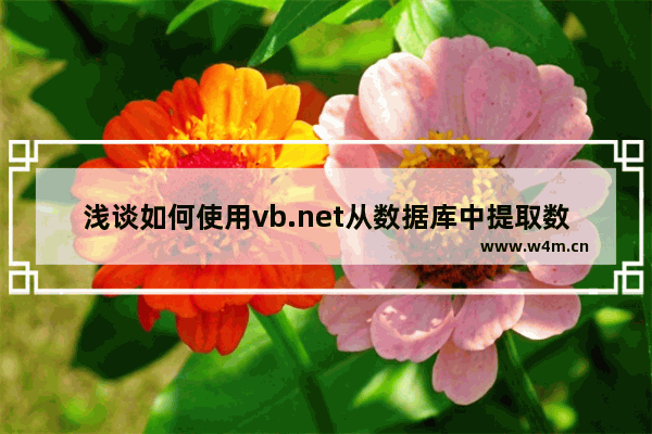 浅谈如何使用vb.net从数据库中提取数据