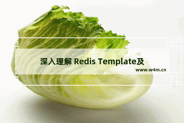 深入理解 Redis Template及4种序列化方式