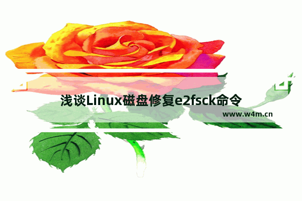 浅谈Linux磁盘修复e2fsck命令