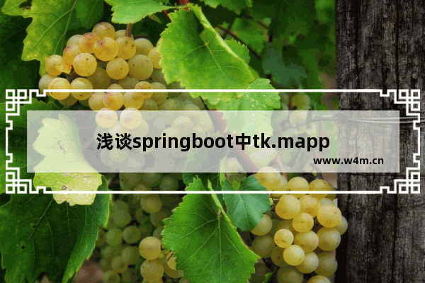 浅谈springboot中tk.mapper代码生成器的用法说明