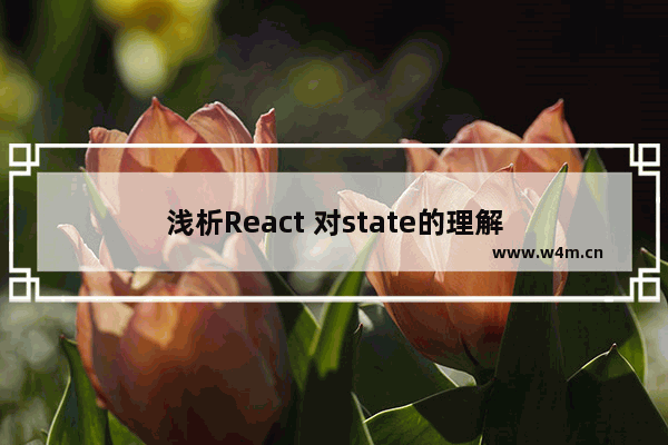 浅析React 对state的理解