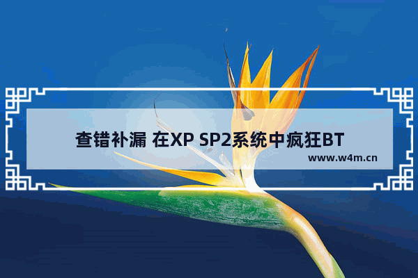 查错补漏 在XP SP2系统中疯狂BT