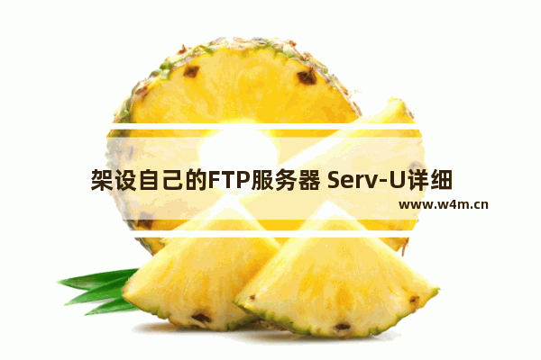 架设自己的FTP服务器 Serv-U详细配置图文教程[推荐]