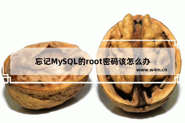 忘记MySQL的root密码该怎么办