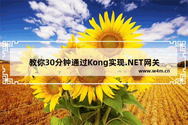 教你30分钟通过Kong实现.NET网关