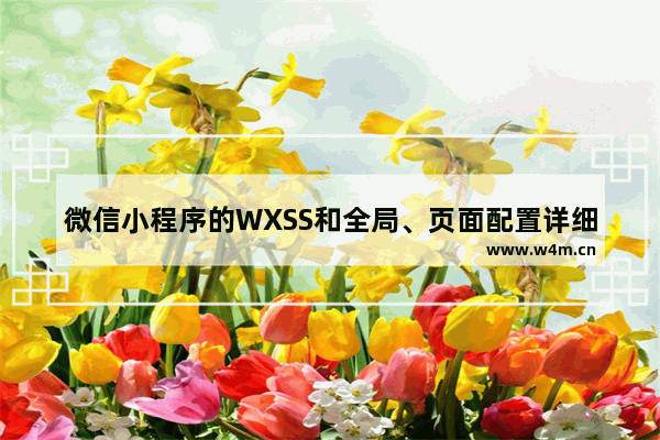 微信小程序的WXSS和全局、页面配置详细讲解