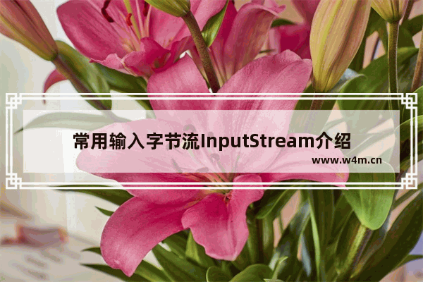 常用输入字节流InputStream介绍