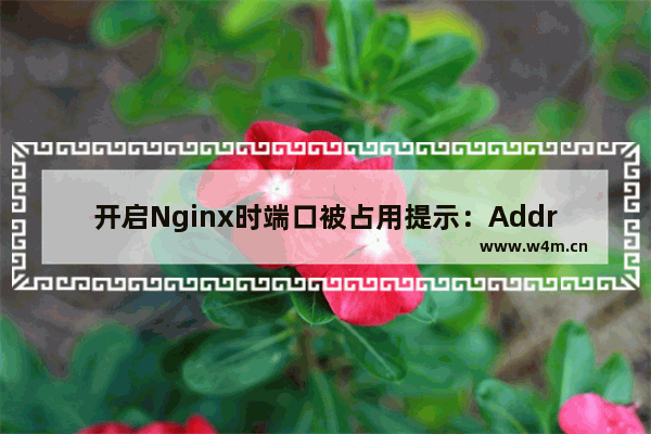 开启Nginx时端口被占用提示：Address already in use