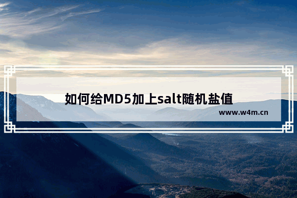 如何给MD5加上salt随机盐值