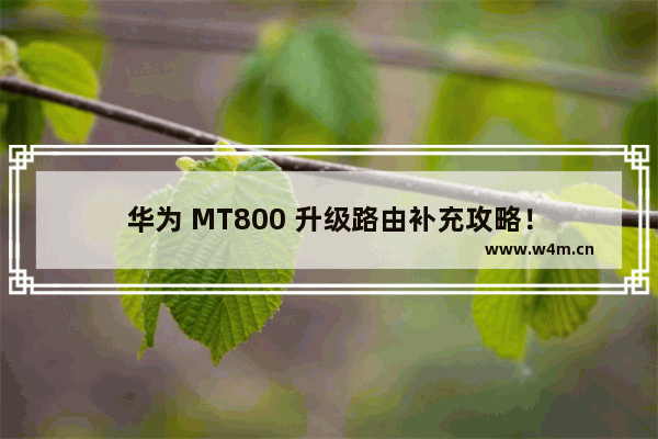 华为 MT800 升级路由补充攻略！