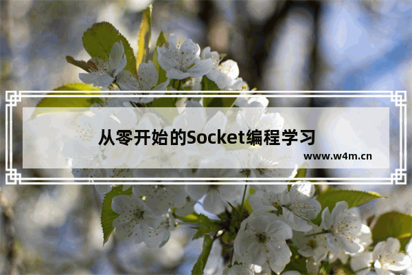 从零开始的Socket编程学习