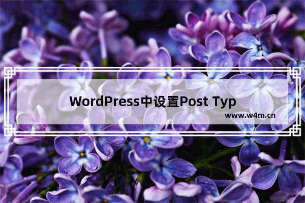 WordPress中设置Post Type自定义文章类型的实例教程