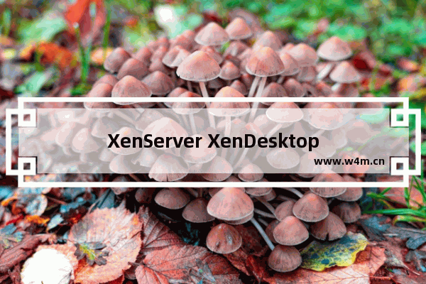 XenServer XenDesktop安装步骤详解(图文)