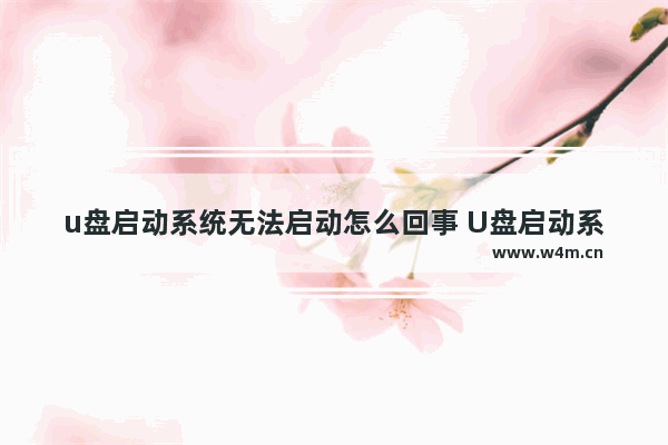 u盘启动系统无法启动怎么回事 U盘启动系统无法启动的解决方法