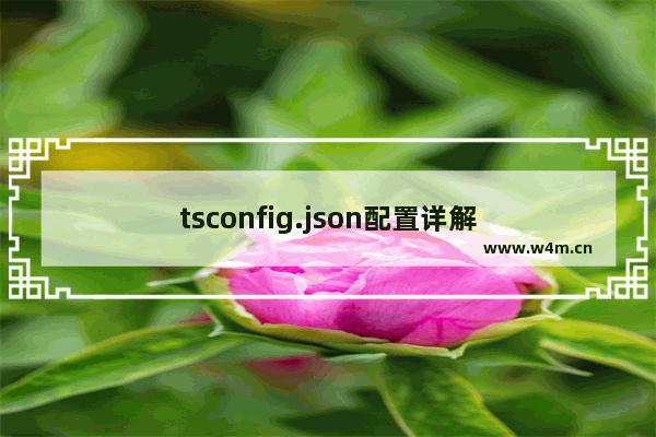 tsconfig.json配置详解