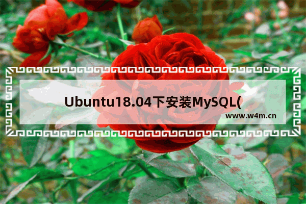 Ubuntu18.04下安装MySQL(图文教程)