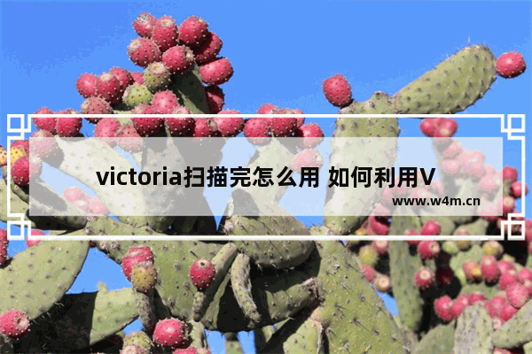 victoria扫描完怎么用 如何利用Victoria扫描结果？