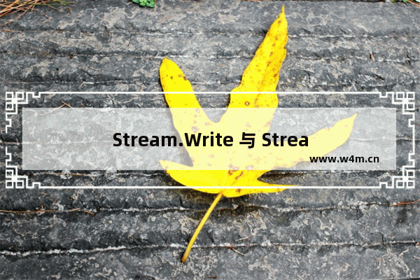 Stream.Write 与 StreamWriter.Write 的不同