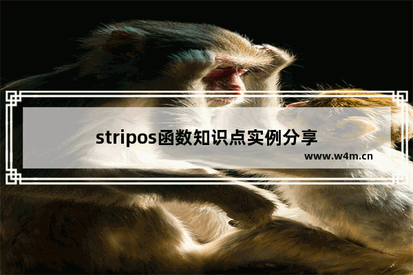 stripos函数知识点实例分享