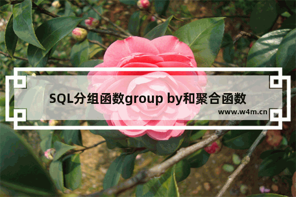 SQL分组函数group by和聚合函数(COUNT、MAX、MIN、AVG、SUM)的几点说明