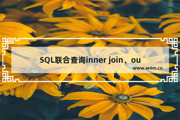 SQL联合查询inner join、outer join和cross join的区别详解