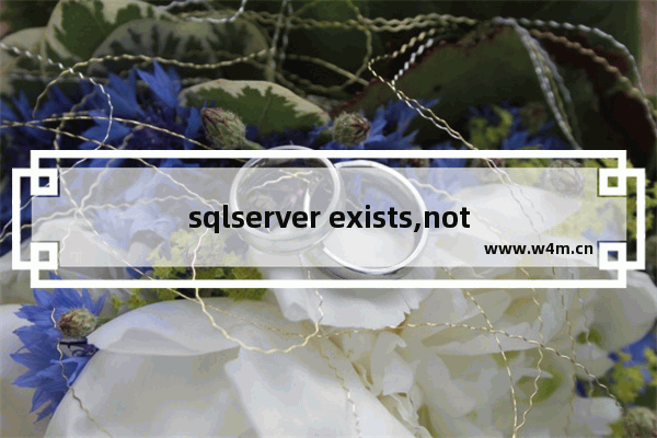 sqlserver exists,not exists的用法