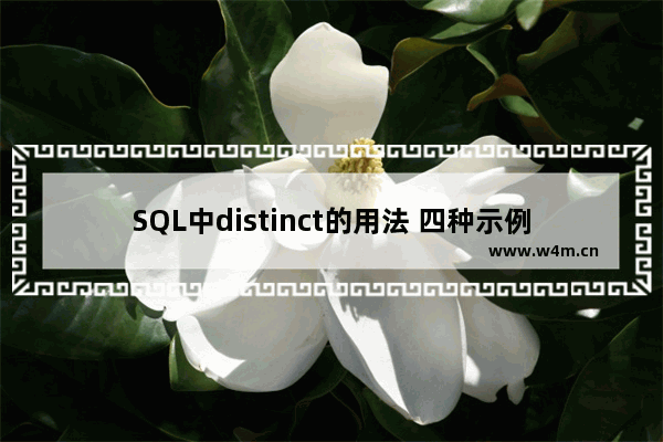 SQL中distinct的用法 四种示例分析