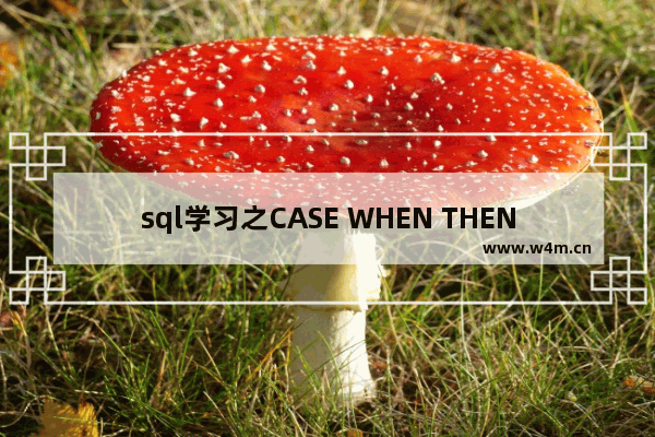 sql学习之CASE WHEN THEN ELSE END的用法