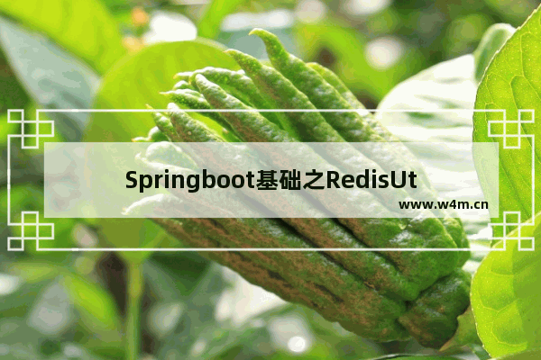 Springboot基础之RedisUtils工具类