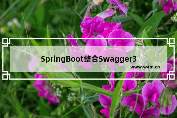 SpringBoot整合Swagger3生成接口文档过程解析