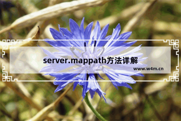 server.mappath方法详解