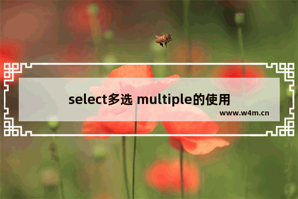 select多选 multiple的使用示例